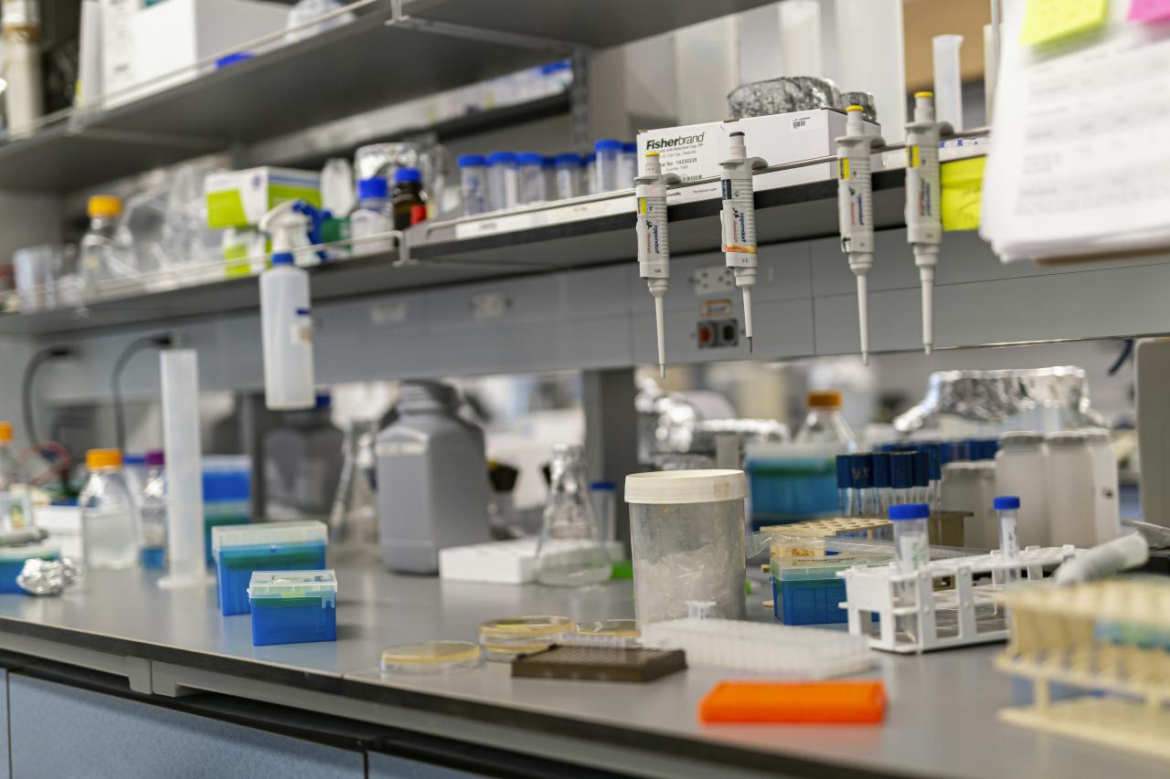 Bangku laboratorium penuh dengan peralatan ilmiah.